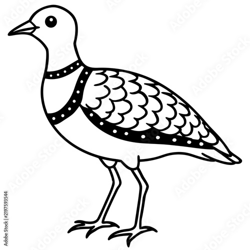 Minimal Dotterel Line Art Vector on White Background