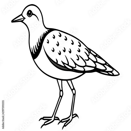 Minimal Dotterel Line Art Vector on White Background