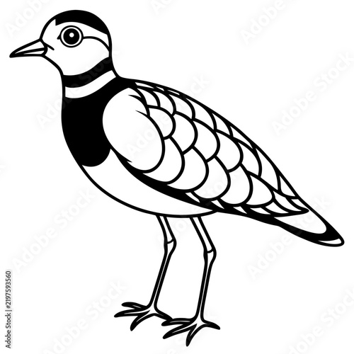 Minimal Dotterel Line Art Vector on White Background