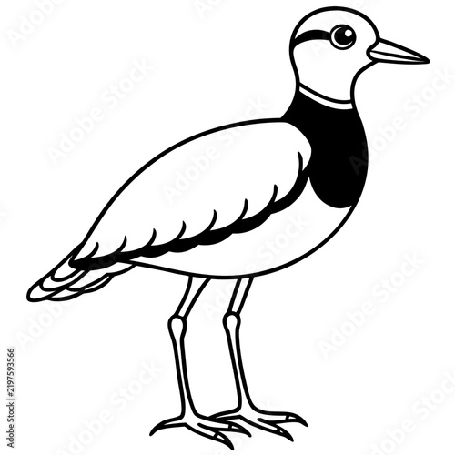 Minimal Dotterel Line Art Vector on White Background