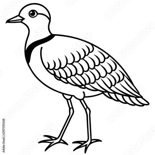 Minimal Dotterel Line Art Vector on White Background