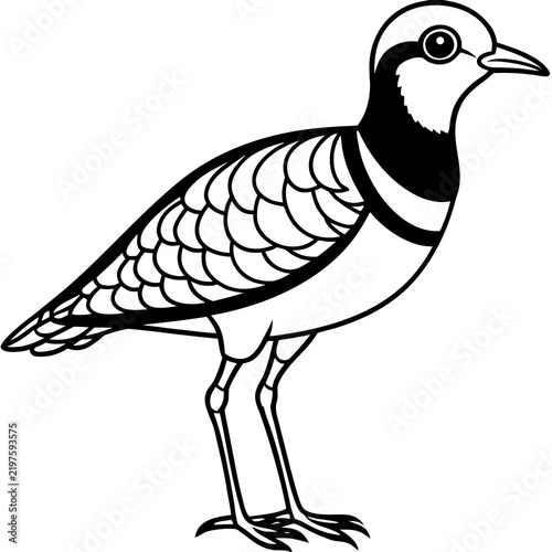 Minimal Dotterel Line Art Vector on White Background