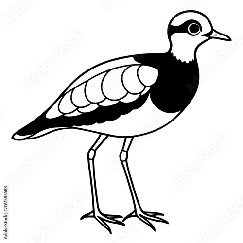 Minimal Dotterel Line Art Vector on White Background