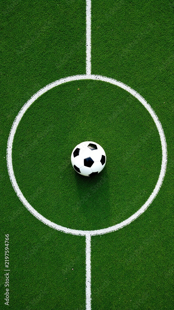Fototapeta premium Professional Soccer Ball Center Circle Top View