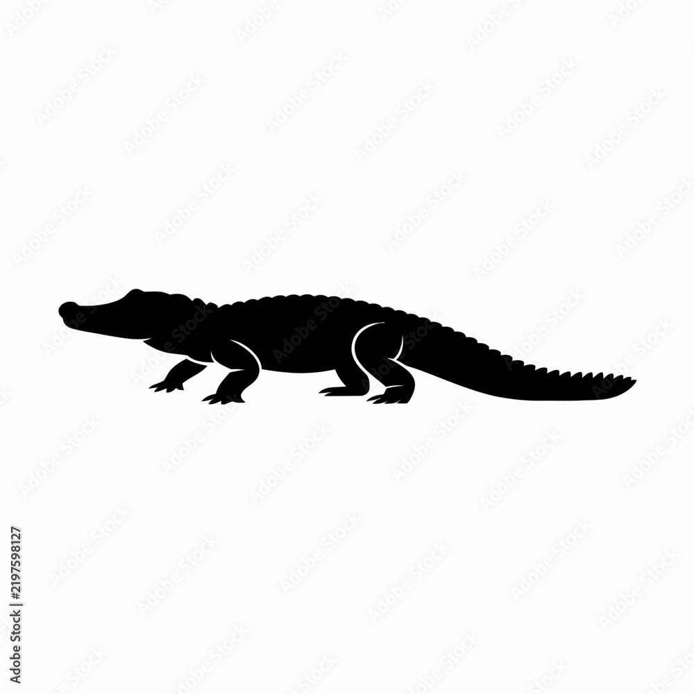 Fototapeta premium lizard isolated on white