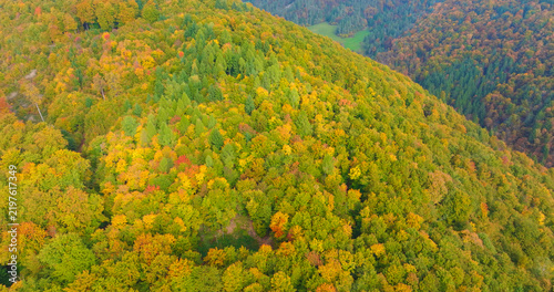 Bild auf Leinwand AERIAL: Densely forested hillside with green, yellow and orange treetops covering the rolling terrain