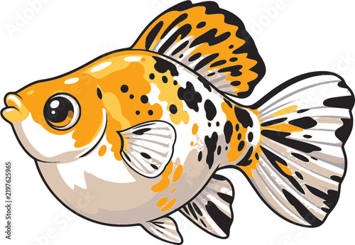 vector illustration of a molly fish