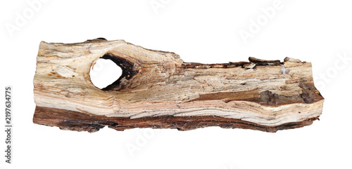 Piece of wooden log on a white background, a large knot of a tree, a log of firewood