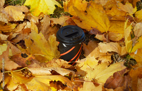 fallen autumn leaves lie on the ground around a cup of hot coffee or tea. warming drink on a clear autumn day