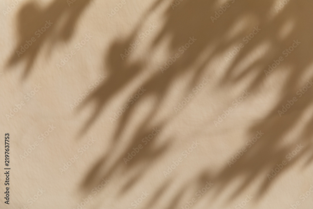 Obraz premium Blurred shadow of tree leaves fall across a light beige wall in bright sunlight. Minimalist botanical pattern, overlay effect, summer holiday relaxation, mediterranean vacation vibe.