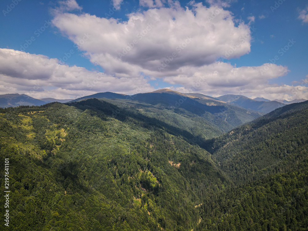 Fototapeta premium Aerial View of the Carpathian Mountains Forest Landscape Under Cloud-Dappled Sky