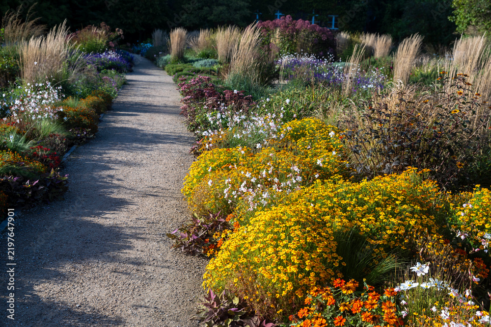 Obraz premium Gravel path winding through a botanical garden lined with colorful flowers and tall ornamental grasses.