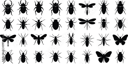 Silhouettes of Various Insects untitled vector