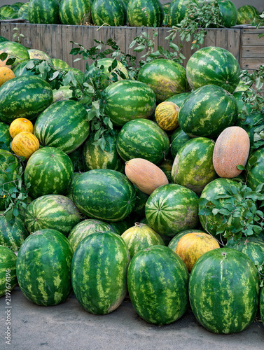 Ripe green watermelons and yellow melons are gathered together on the market ground, creating a simple display of fresh seasonal fruit