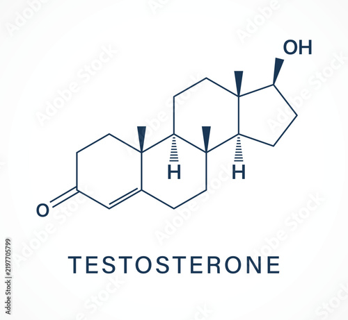 Obraz na plátně Testosterone Molecular Structure Icon Line