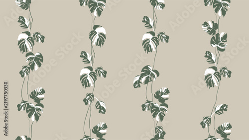 Tropical seamless pattern features vertical vines of variegated Monstera leav...