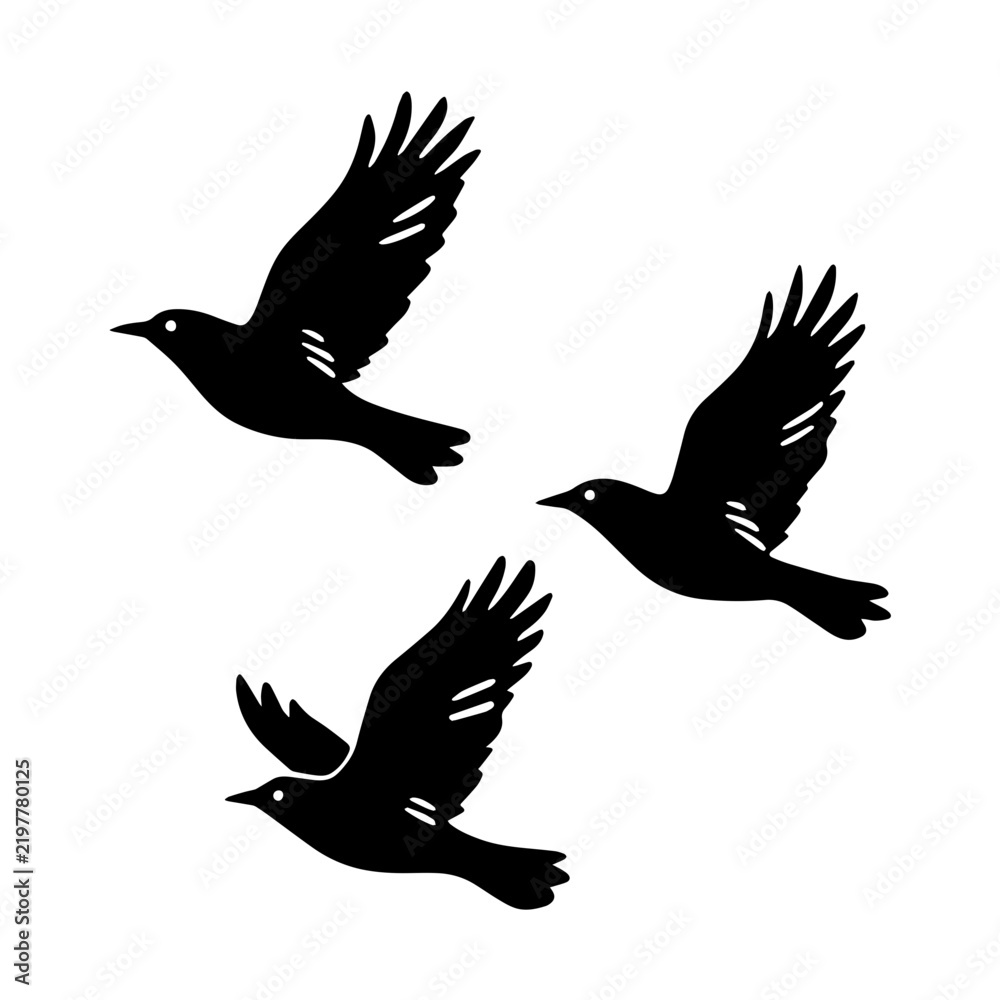 Fototapeta premium Three black birds flying together in a group as a simple dark silhouette vector illustration