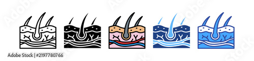 Plakat Integumentary System multiple icon