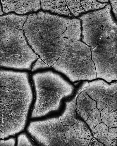 Dramatic monochromatic cracked plaster surface background. 