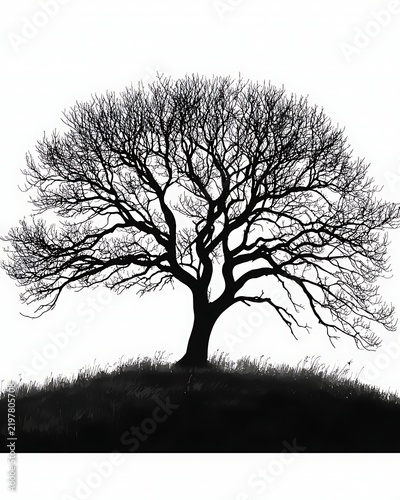 Silhouette of a Majestic Oak Tree: A stark, leafless oak tree stands silhouetted against a bright sky atop a grassy mound, its intricate branches creating a dramatic pattern.