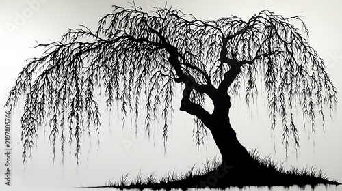 Weeping Willow Silhouette: An artistic black and white illustration captures the dramatic silhouette of a weeping willow tree, its long.