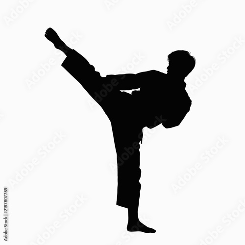 Martial Artist Performing High Kick in Silhouette Against White Background