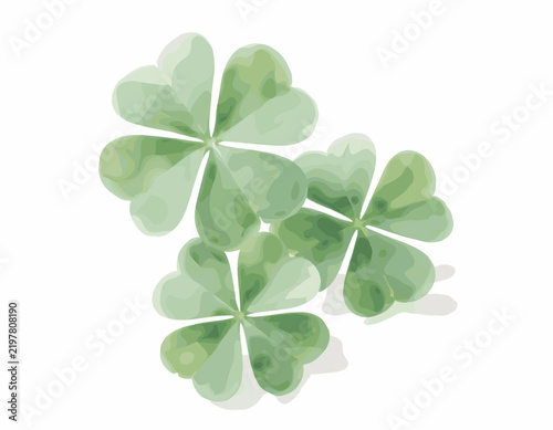 Three Four-Leaf Clovers Resting on White Surface