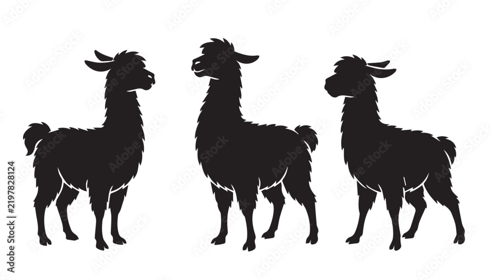 Fototapeta premium black color silhouette set of three llama vector illustration, solid white background