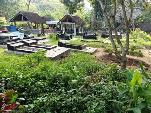 Foto Peaceful Graveyard Surrounded By Green Trees