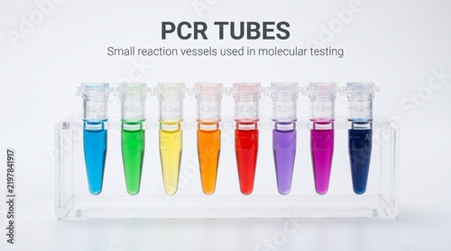 Row of Colorful Liquid Samples in Microcentrifuge Tubes on Laboratory Rack against White Background