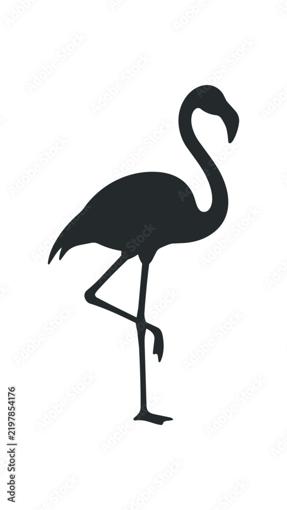 Fototapeta premium Silhouette of a Flamingo Standing on One Leg.