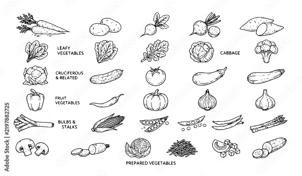 Obraz premium Hand Drawn Fresh Vegetable Whole Sliced Chopped and Grated Line Art Vector Collection