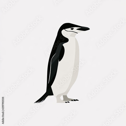 clean black and white chinstrap penguin flat vector illustration