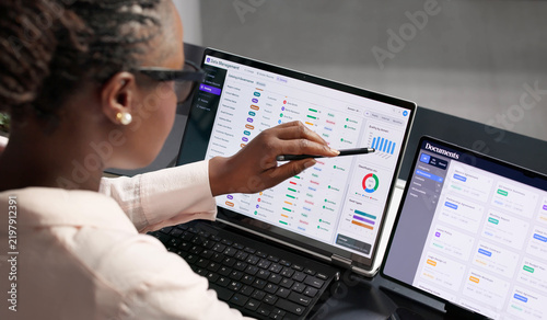Data Manager Carefully Checks Master Catalog On Laptop