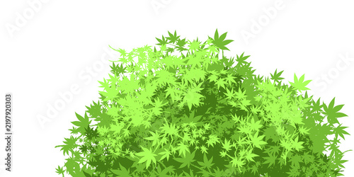 Simple green bush for use 03