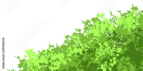 Simple green bush for use 02
