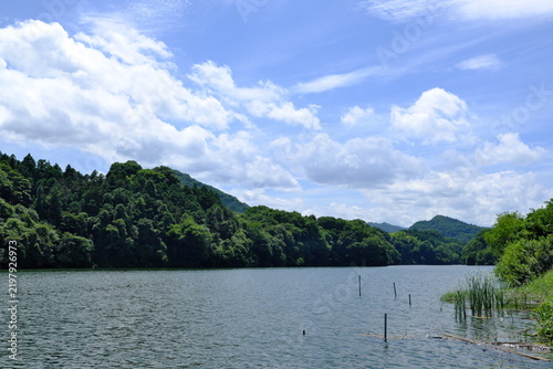 神奈川県相模湖夏の風景