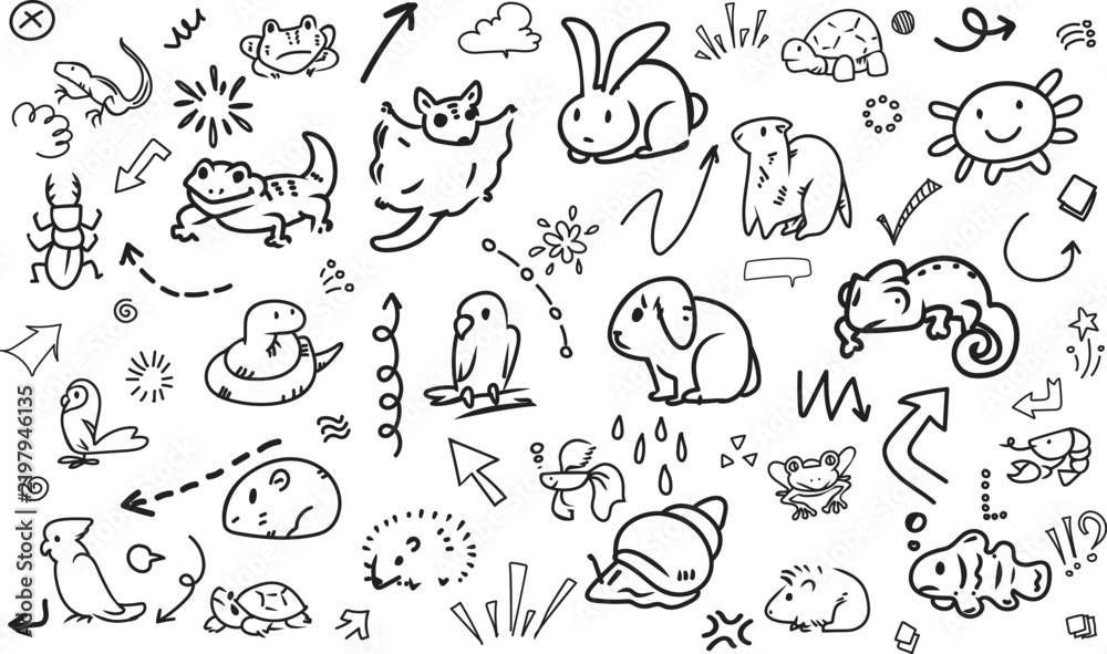 Obraz premium Exotic pets collection and cute wild animals doodle pattern
