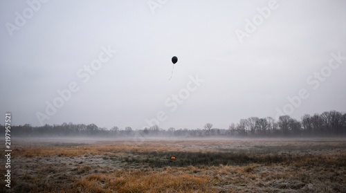 Black balloon floating above an autumn landscape with a pumpkin