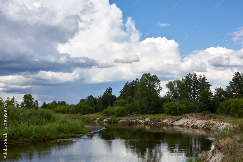 Fototapeta premium Scenic Forest River Under Cloudy Sky