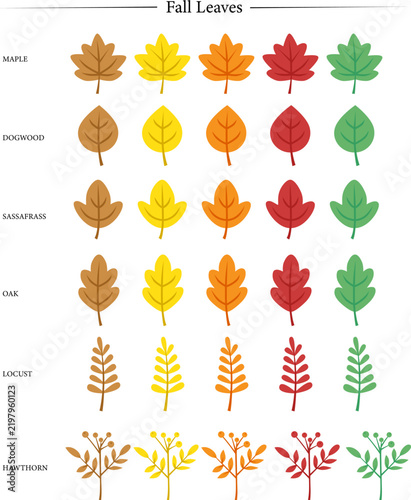 Autumn Leaves Collection