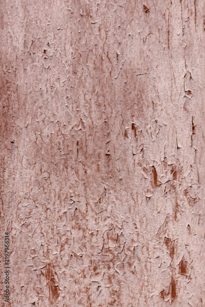 Fototapeta premium Weathered pink paint peels across rough textured surface