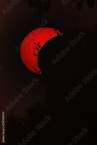 A solar eclipse outdoors with a tree.