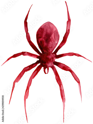 Water color illustration of Spider for Halloween on transparent background