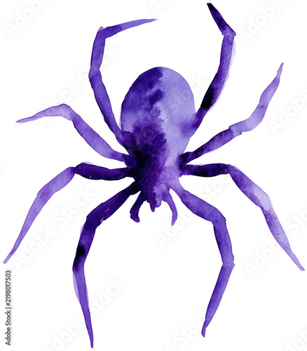 Water color illustration of Spider for Halloween on transparent background
