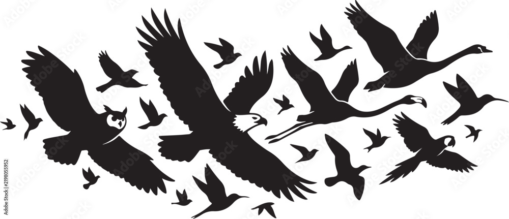 Fototapeta premium Flock of various birds flying together silhouette