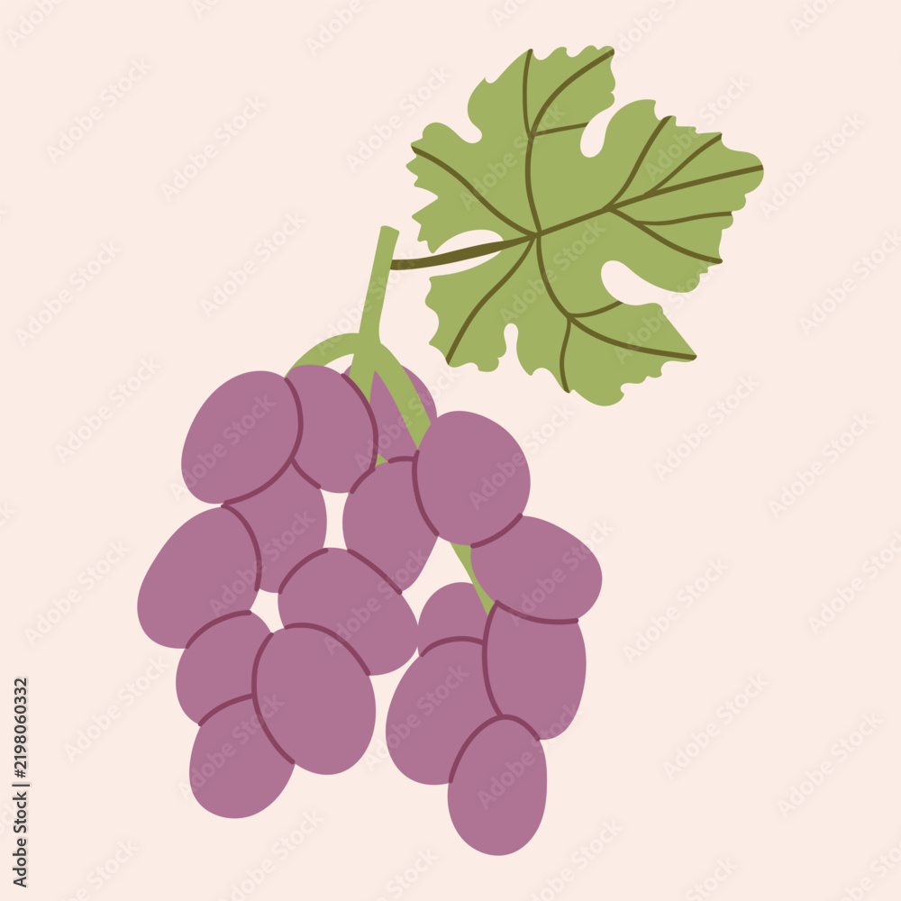 Fototapeta premium Fresh Grape Bunches , Sweet Grapes with Isolated on white Background, Organic Fruit Harvest Vector hand drawn for Wine Labeling, Packaging, Menu an Stock Illustration