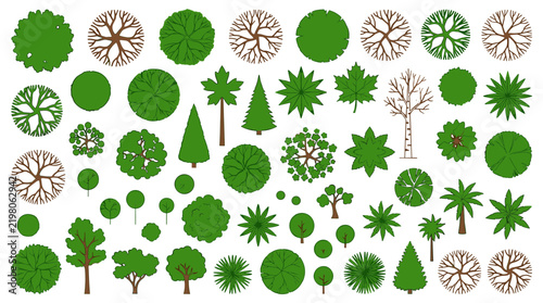 Top view tree vector collection, flat landscape architecture symbols for site plan design, green forest and garden vegetation icons, 50 overhead plant elements for masterplan mapping