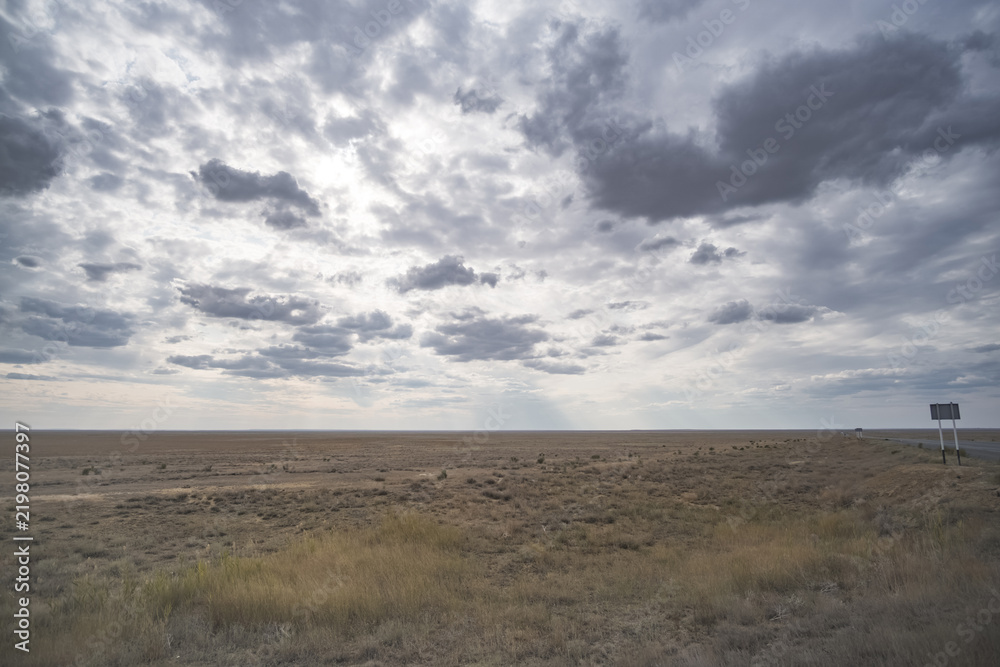 Obraz premium A steppe landscape in Kazakhstan; wild steppe stretching for kilometers to the horizon; a grassy field and cloudy sky; natural minimalism