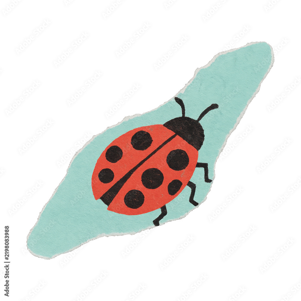 Fototapeta premium PNG Colorful ladybug illustration on paper